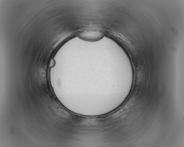 X0000111351162200908071127