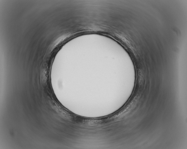 X0000111351163200908071127