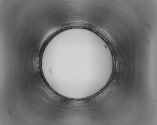 X0000111351164200908071127