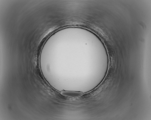 X0000111351165200908071127