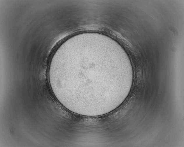 X0000111351166200908071127