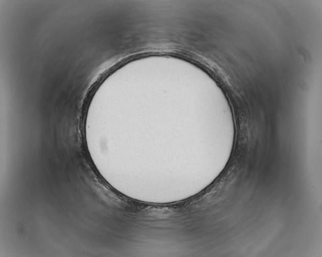X0000111351168200908071127