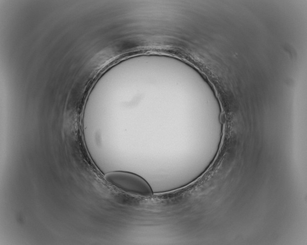 X0000111351169200908071127