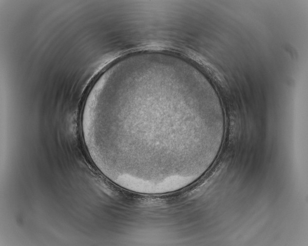 X0000111351170200908071127
