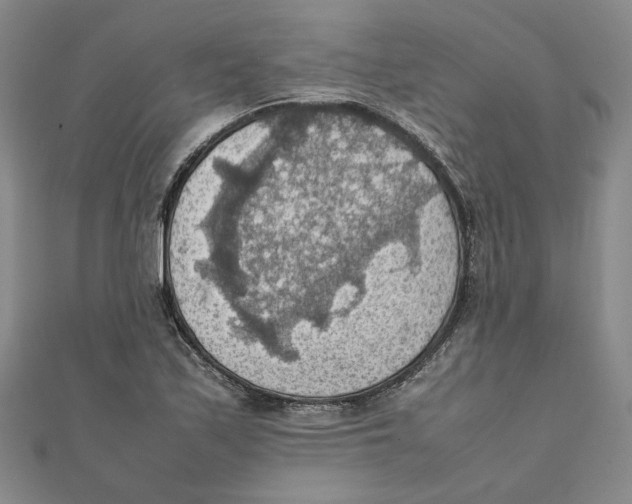 X0000111351171200908071127