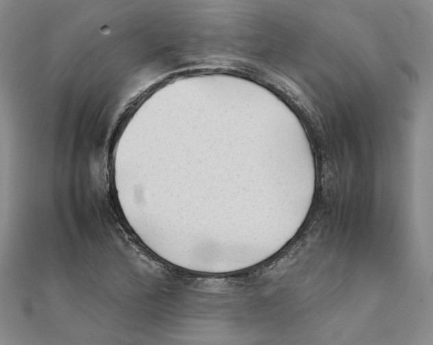 X0000111351172200908071127