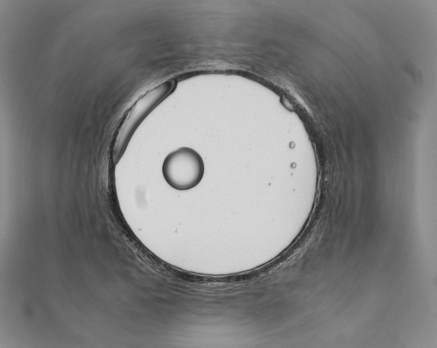 X0000111351173200908071127