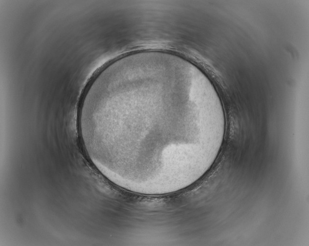 X0000111351174200908071127