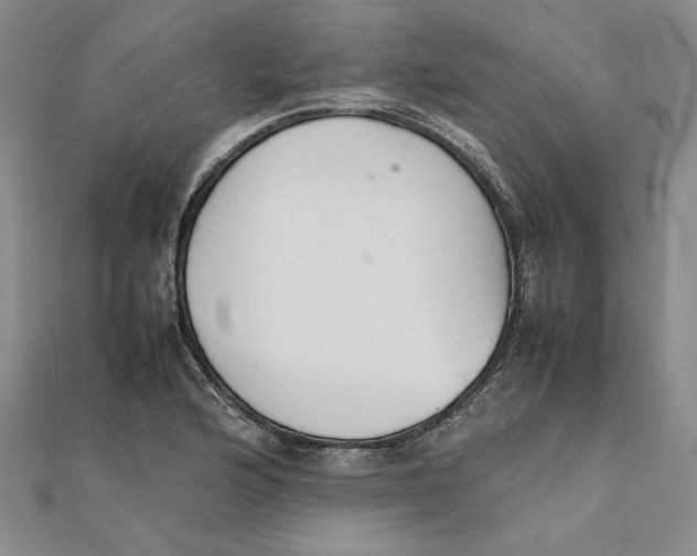 X0000111351176200908071126