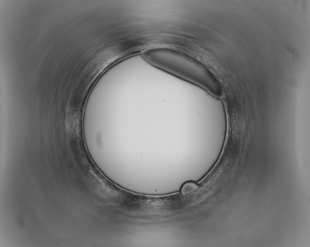 X0000111351177200908071126