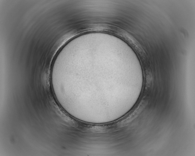 X0000111351178200908071126