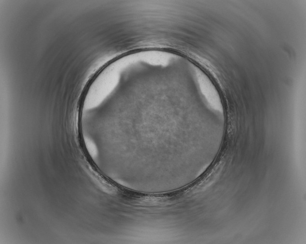 X0000111351179200908071126