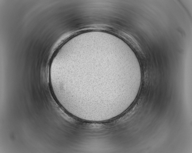 X0000111351180200908071126