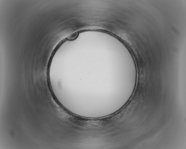 X0000111351181200908071126