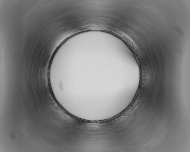 X0000111351182200908071126