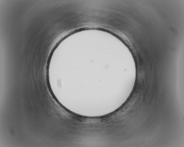 X0000111351183200908071126