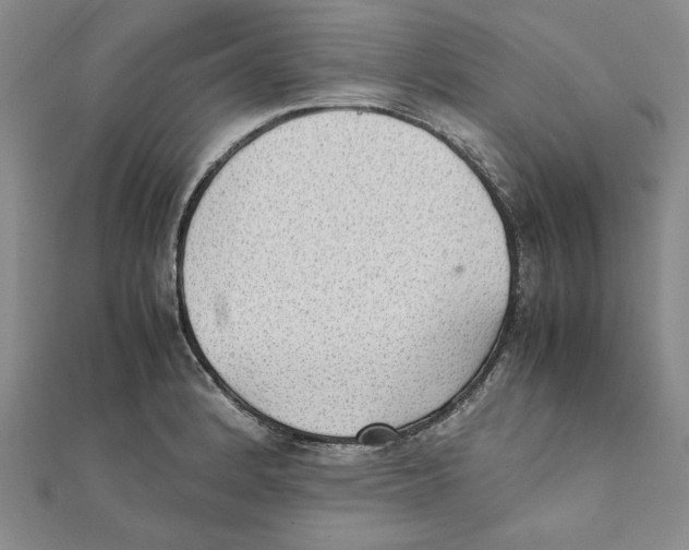 X0000111351184200908071126