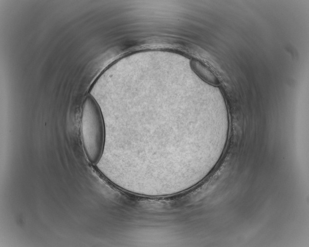 X0000111351185200908071126