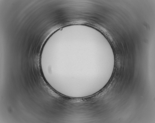 X0000111351186200908071126