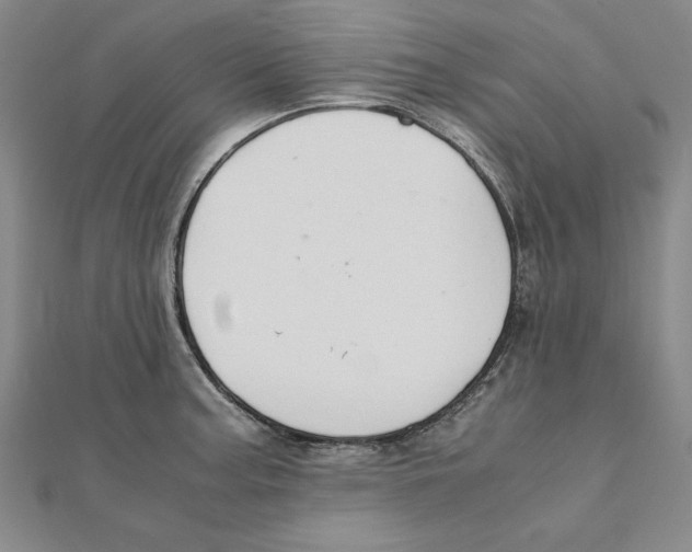 X0000111351187200908071126