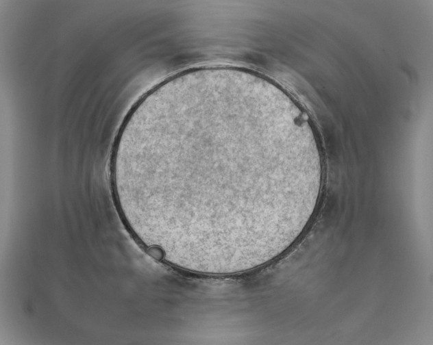 X0000111351189200908071126