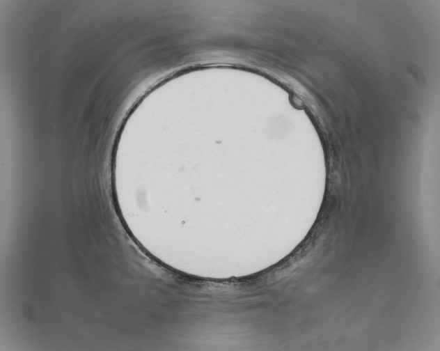 X0000111351191200908071126