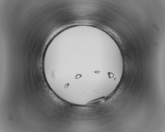X0000111351192200908071126