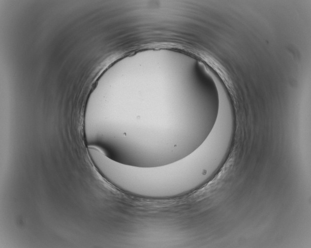 X0000111351193200908071126