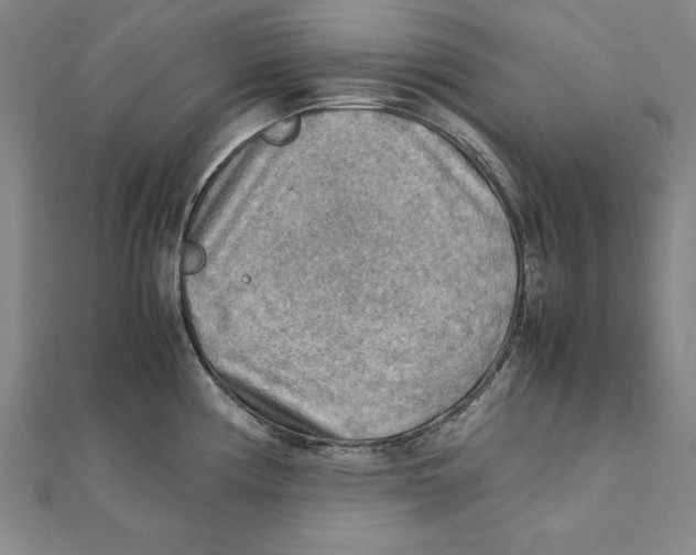 X0000111351194200908071126
