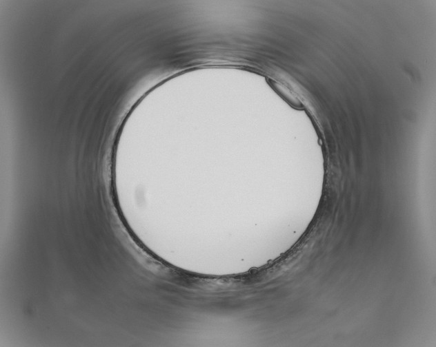 X0000111351195200908071126