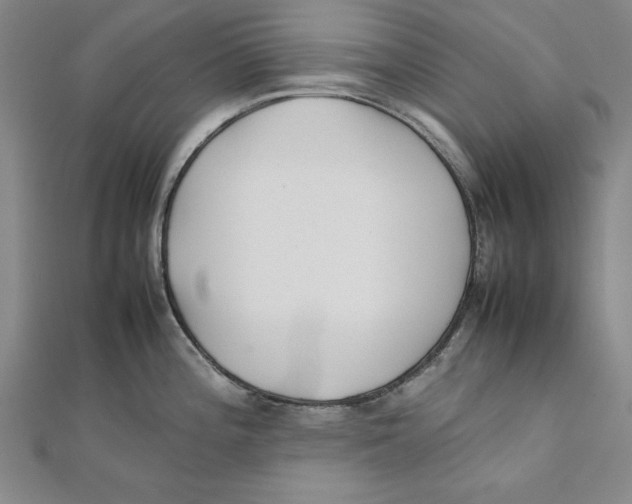 X0000111351196200908071126