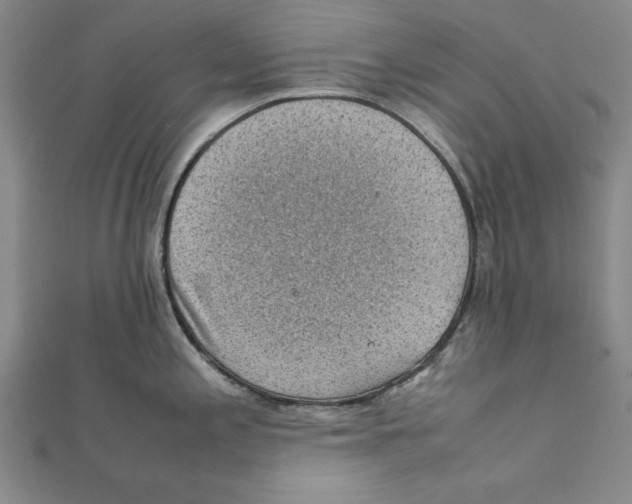 X0000111351197200908071126