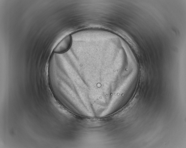 X0000111351198200908071126