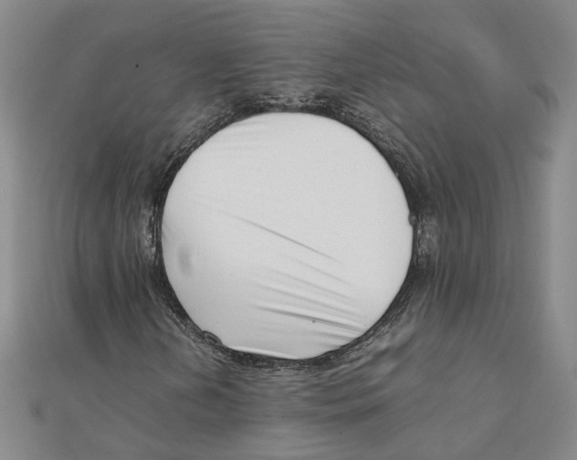 X0000111351202200908071126