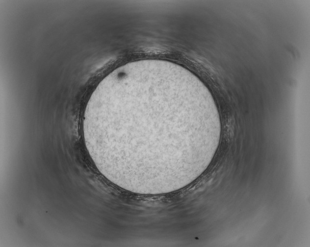 X0000111351205200908071126