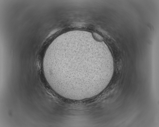 X0000111351206200908071126
