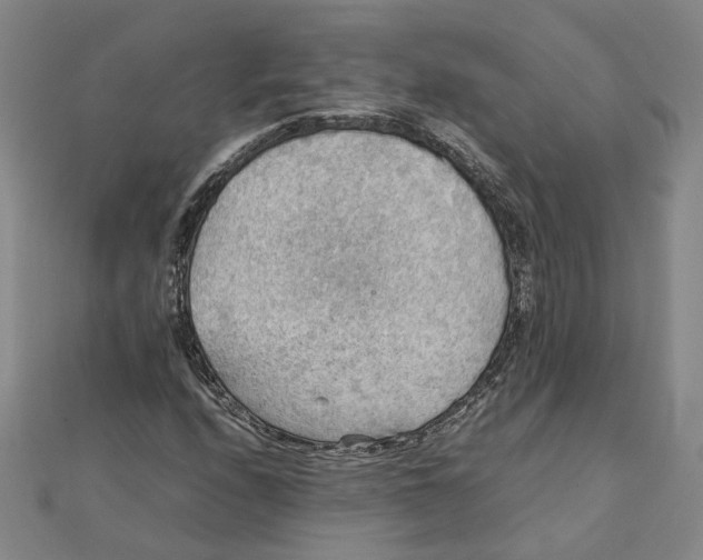 X0000111351208200908071126