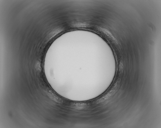 X0000111351209200908071126