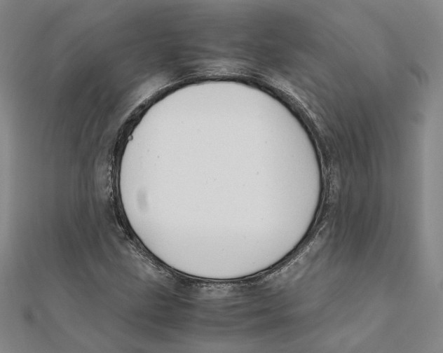 X0000111351211200908071126