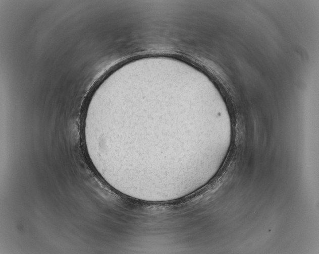 X0000111351212200908071126