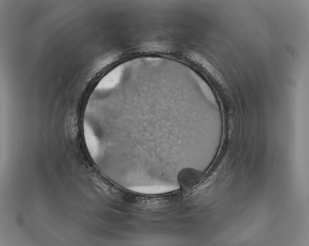 X0000111351213200908071126