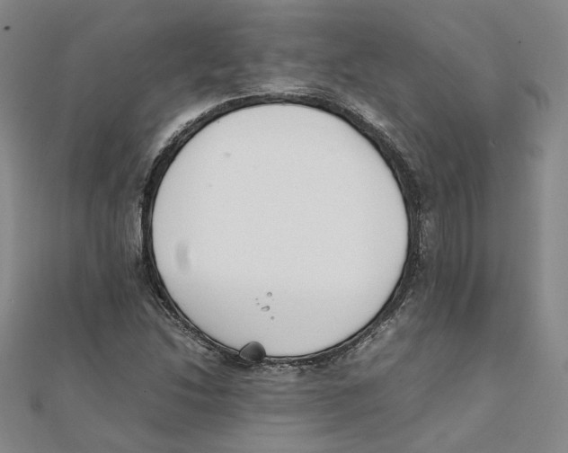 X0000111351214200908071126