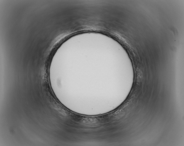 X0000111351215200908071126