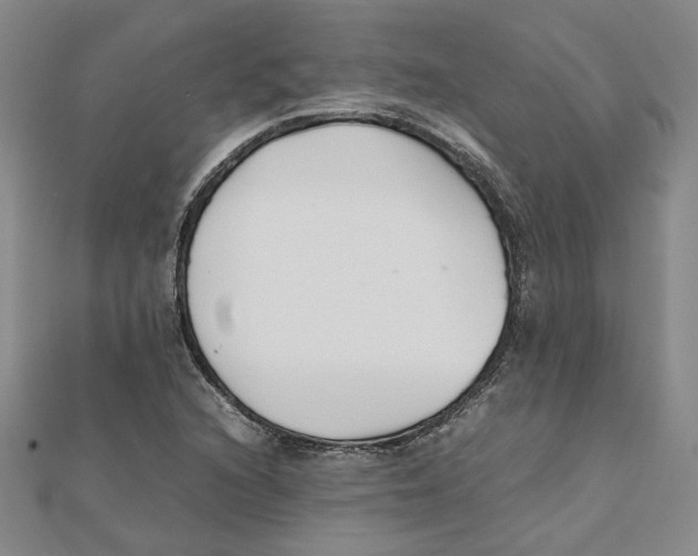 X0000111351216200908071126