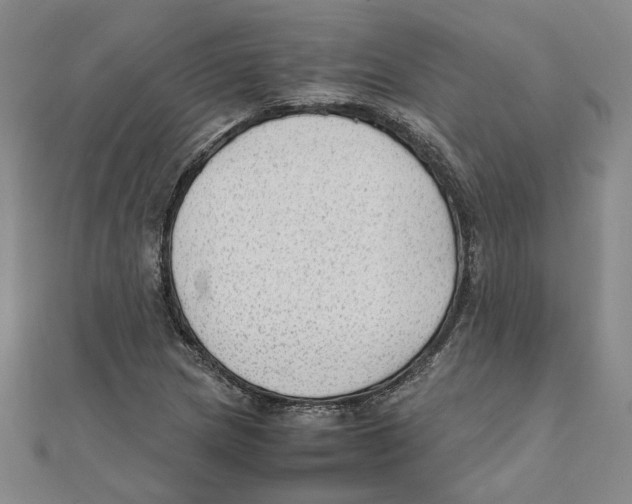 X0000111351217200908071126