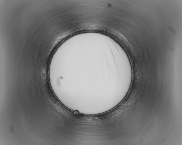 X0000111351218200908071126