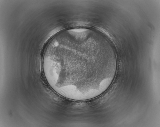 X0000111351219200908071126