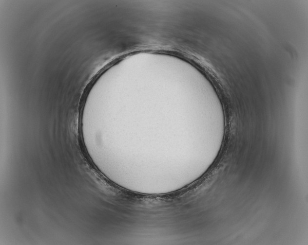 X0000111351220200908071126