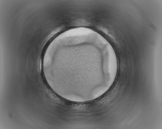 X0000111351221200908071126