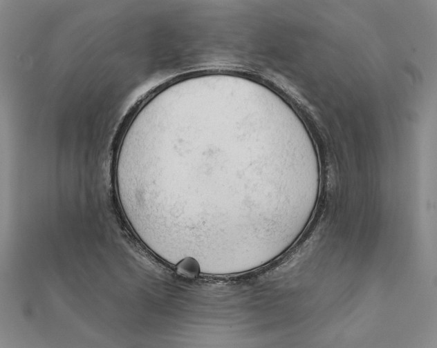 X0000111351222200908071126
